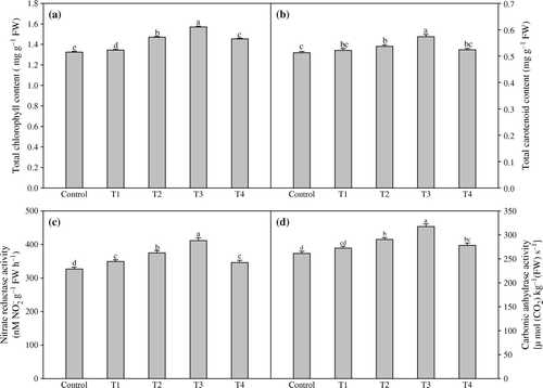 Figure 2.  Effect of foliar application of different concentrations of TRIA and GA3 on chlorophyll content (a) and carotenoid content (b), nitrate reductase activity (c) and carbonic anhydrase activity (D) of Artemisia annua L. Bars showing the same letter are not significantly different at p≤0.05 as determined by Duncan's Multiple Range test. Error bars (⊺) show SE.