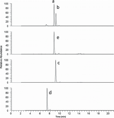 Figure 2. HPLC-MS/MS separation for a serum sample containing a) 25(OH)D3, b) 3-epi-25(OH)D3, c) 25(OH)D2, d) 24,25(OH)2D3 and e) d6-25(OH)D3, internal standard.