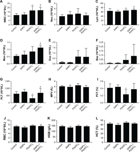 Figure 3 The blood routine examination.Notes: (A–F) Leukocytes. #P<0.05 when comparing co-exposure group with control and SiNPs groups in WBC (4A); #P<0.05 when comparing co-exposure group with control and SiNPs groups in Lym (4C); #P<0.05 when comparing co-exposure group with control and SiNPs groups in Mon (4D). (G–I) Thrombocytes. #P<0.05 when comparing co-exposure group with Pb group in PLT (4G). (J–Q) Erythrocytes. #P<0.05 when comparing co-exposure group with SiNPs group in RBC (4J); #P<0.05 when comparing co-exposure group with Pb group in MCHC (4O). Data are expressed as mean ± SD from six independent experiments. *P<0.05, **P<0.01 compared with untreated control, #P<0.05 compared with individual toxicant alone treated group.Abbreviations: Bas, basophil; Eos, eosinophil; Lym, lymphocyte; Mon, monocyte; Pb(AC)2, lead acetate; PLT, blood platelet; RBC, erythrocyte; SiNPs, silica nanoparticles; WBC, leukocyte; MPV, mean platelet volume; PCT, plateletcrit; HGB, hemoglobin; HCT, hematocrit; MCV, mean corpusular volume; MCH, mean corpusular hemoglobin; MCHC, mean corpusular hemoglobin concerntration; RDW-CV, red blood cell distribution width-coefficient of variation; RDW-SD, red blood cell distribution width-standard deviation.
