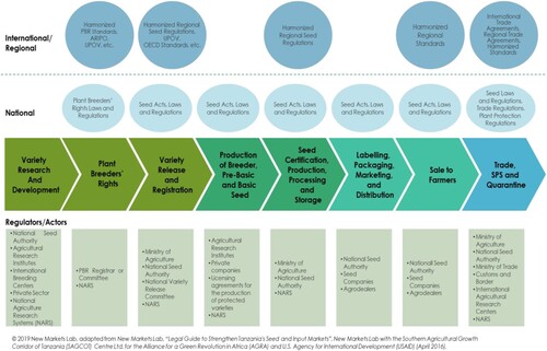 Figure 2. Conceptual framework guiding the study (seed regulatory value chain). Source: Kuhlmann and Dey (Citation2021), adapted from NML 2019 and NML and SAGCOT 2016.