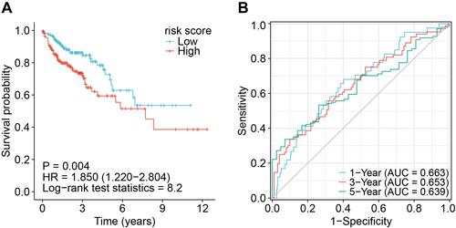 Figure 2 Evaluation of the necroptosis-related miRNAs risk score. (A) The Kaplan Meier curve showed that the overall survival of the high-risk group was lower than that of the low-risk group. (B) The results of the ROC curve show that the model has a particular prediction ability.