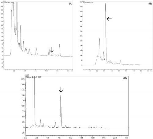 Figure 6. UFLC-DAD chromatograms obtained for the DFJi. (A) Detection at 200 nm, indicating the acetyl aleuritolic acid, (b) detection at 280 nm, enlarged, indicating the diterpene jatrophone, (c) detection at 280 nm displaying the jatrophone compound with a good resolution.