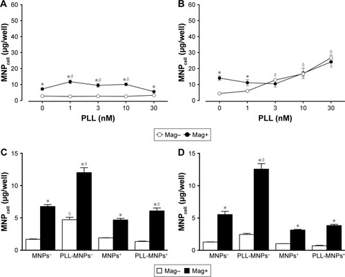 Figure 8 Magnetic force increased human umbilical-vein endothelial cell-associated (A, B) Dex-MNPs or (C, D) PLL-MNPs with or without heparin after 3-hour incubation.Notes: A magnetic field was applied for 5 minutes (Mag–) or 3 hours (Mag+) in the (A, C) presence and (B, D) absence of heparin (20 IU/mL). Values are means ± SE (n=4). *,◊P<0.05 compared with Mag− and corresponding groups without PLL, respectively.Abbreviations: Dex, dextran; MNPs, magnetic nanoparticles; PLL, poly-l-lysine; MNP < cell-associated MNPs; MNP-cell < MNPs with negative ζ-potential; MNP+, MNPs with positive ζ-potential; PLL-MNP−, PLL-coated MNPs with negative ζ-potential.