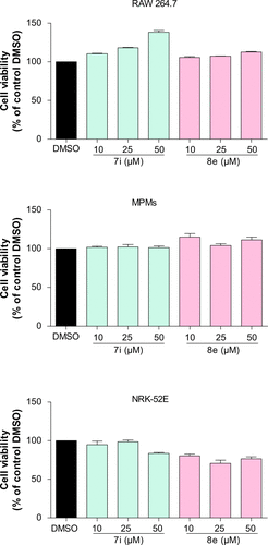 Figure S4 The cytotoxicity of active compounds 7i and 8e in RAW264.7 macrophages, MPMs, and NRK-52E cells.