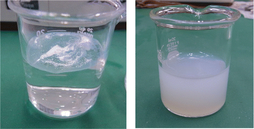 Figure 1. (a) The original powder of JMT-150IB floating on de-ionized water. (b) JMT-150IB being well dispersed in de-ionized water, and the suspension is made reproducibly by aerosol-to-liquid collection method.