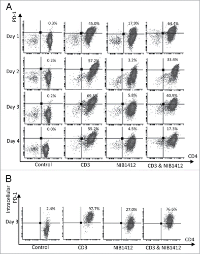 Figure 4. Failure of CD4+ effector memory T cells to upregulate cell surface PD-1 after CD28SA-activation. Human CD4+ TEMs were stimulated for 1 to 4 d with plate-bound anti-CD3 mAb (CD3, 5 μg/ml); NIB1412 (NIB1412, 10 μg/ml); anti-CD3 mAb and NIB1412 (CD3 and NIB1412); control category included cells without any treatment (Control). (A) Cells were harvested at indicated time points and stained with fluorochrome-conjugated anti-CD4 and anti-PD-1 antibodies followed by flow cytometric analysis. (B) Cells harvested at day 3 were stained for intracellular PD-1 following fixation/permeabilization treatment. Population of CD4+ PD-1+ cells are shown in the upper right quadrant as percentages of total T cells. Results are representative of four independent experiments.