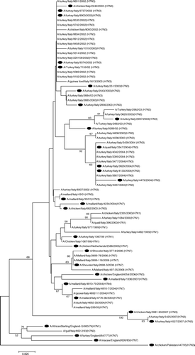 Figure 3.  Phylogenetic tree of the amino acid sequences of the HA gene of H7 viruses constructed by the neighbour-joining method. The viruses included in the present antigenic study are labelled with a circle. The numbers at each branch point represent bootstrap values and were determined by bootstrap analysis using 1000 replications. Scale bar = 0.005 amino acid substitutions/site.