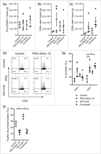 Figure 3. PEG-rMuIL-10 and AM0010 treatment decrease FoxP3+ CD4+ T cells. (A) Flow cytometric analysis of CD45+ tumor-infiltrating lymphocytes (TILs) from 4T1 tumors treated for 28 d with control, 1 mg/kg PEG-rMuIL-10 s.c. daily, IDO inhibitor (1-methyl-D-tryptophan) or the combination of the same dose of PEG-rMuIL-10 with the IDO inhibitor (n = 5 mice/cohort). Total TILs (CD45+) per gram tumor were isolated from two–four tumors per group. (B) Total CD4+ TILs from (A) per gram tumor. (C) Total CD8+ TILs from (A) per gram tumor. (D) Flow cytometric analysis of intracellular IFNγ in CD8+ TILs from (A). (E) Percentage of CD4+ or CD8+ cells within the CD45+ TIL population from (A). (F) Percentage of FoxP3+ cells within the CD4+ CD45+ TIL population from (A). Statistics for Fig. 3(E)–(F) was determine by use of ANOVA multiple comparisons, where p < 0.05 is denoted by *. Data is representative of three in vivo studies.