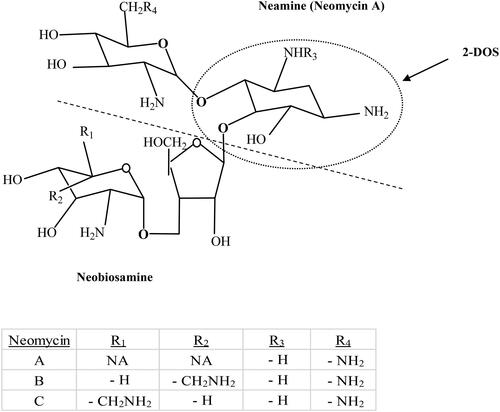 Figure 1. Chemical structures of neomycin B and C, neamine (neomycin A), neobiosamine (divided by dotted line) and di-substituated 2-deoxy streptamine (2-DOS). NA means not applicable.