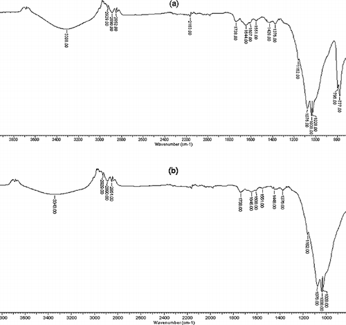 Figure 1. FTIR spectra of Lobaria pulmonaria biomass.
