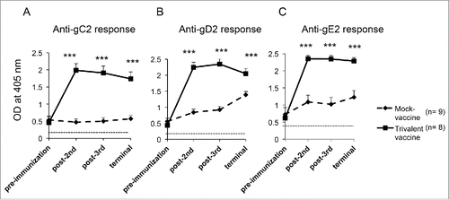 Figure 1. The trivalent vaccine induces robust ELISA antibody responses. Sera were evaluated at a 1:1000 dilution for (A) gC2, (B) gD2, and (C) gE2 antibodies at 16–18 d after intravaginal infection (pre immunization), after the second and third immunizations and at the end of the experiment. The dotted line represents antibody titers in uninfected, naïve guinea pigs. Statistical analysis was performed by 2-way ANOVA for repeated measures followed by Bonferroni's post-test for significance. *** p < .001 comparing mock and trivalent samples.