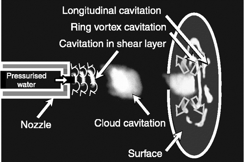 Figure 4 Schematic diagram of cavitating jet.