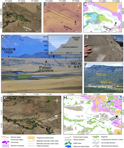 Figure 7. (A) Satellite imagery (ESRITM, DigitalGlobe), (B) DEM with topographic contour lines (15 m interval) and (C) glacial geomorphological mapping comparisons of a former glaciolacustrine basin in the Río Corcovado valley encircled by well-preserved, highly continuous and parallel palaeo-shorelines (nested between 910 and 990 m) running over tens of kilometres at singular elevations. The former lake basin floor displays a low gradient surface now host to the Río Corcovado as well as an extensive bogland. (D) View towards the northwest (as shown on panel B) of a palaeo-shoreline nested on the ice-distal slope of a terminal moraine ridge in the Río Corcovado valley. This shoreline is associated with the former proglacial lake, which resided in the basin mapped on panel C (camera location: 43°49′43.46″S, 71° 9′54.92″W). An elevation profile graph extrapolated from DEM highlights the geomorphology of the palaeo-shoreline and adjacent moraine ridge. (E) Road cut section through well-preserved laminated varve sediments (location: 43°42′08,0″S, 71°24′41,6″W). (F) View towards the northeast of two continuous palaeo-shorelines cut into the eastern slopes of the Río Corcovado valley (camera location: 43°40′00,5″S, 71°26′26,0″W). (G) Satellite imagery (ESRITM, DigitalGlobe) and (H) glacial geomorphological mapping comparison of another, lower-elevation drained glaciolacustrine basin located in the Río Corcovado valley. This basin displays a high concentration of glaciolacustrine sediment accumulations on its low-gradient basal surface. The hillshade was replaced with a white background on maps C and H to improve visualisation. See Figure 2 for location.