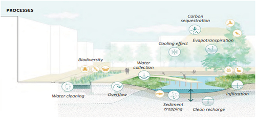 Figure 6. Benefits of constructed wetlands for managing climate and disaster risks. Source: World Bank, 2021. A catalogue of nature-based solutions for urban resilience. Washington, D.C. World Bank group.