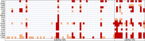 Figure 1 Antibiotic susceptibility tests of 88 K. pneumoniae strains.