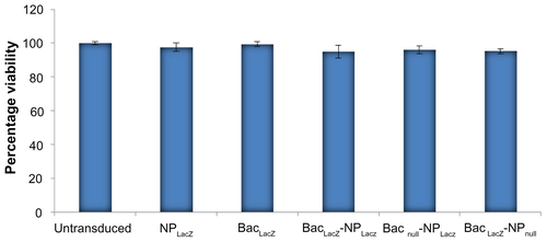 Figure S3 Cytotoxic effects of baculovirus-nanoparticle hybrid complexes on human adipose tissue-derived stem cells. In each well of 96-well plate, 2 × 104 cells were seeded and cultured overnight. The cells were incubated with nanoparticles (N/P ratio 3) only, baculovirus (multiplicity of infection 200) only, and baculovirus-nanoparticle complex (multiplicity of infection 200 and N/P ratio 3) for 12 hours followed by cell toxicity analysis.Notes: Three independent experiments were performed and data expressed as mean ± standard deviation. There were no significant differences in percentage viability between the groups, confirming that the baculovirus-nanoparticle complex did not have any toxic effect on the human adipose tissue-derived stem cells.Abbreviations: BacLacZ, LacZ-carrying baculovirus; BacLacZ-NPLacZ, LacZ-carrying baculovirus-LacZ-carrying nanoparticle complex; BacLacz-NPnull, LacZ-carrying baculovirus-nanoparticle (carrying no gene of interest) complex; Bacnull-NPLacZ, baculovirus (carrying no gene of interest)-LacZ-carrying nanoparticle complex; NPLacZ, LacZ-carrying nanoparticle.