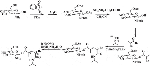 Scheme 3 GA-PNIPAM synthesis by ATRP