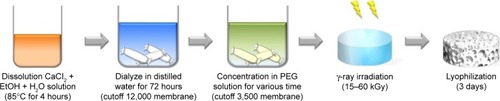 Figure 1 Schematic diagram of the chemical cross-linking process of the regenerated silk fibroin hydrogel.Abbreviations: CaCl2, calcium chloride dihydrate; EtOH, ethanol; PEG, polyethylene glycol; γ-ray, gamma ray.