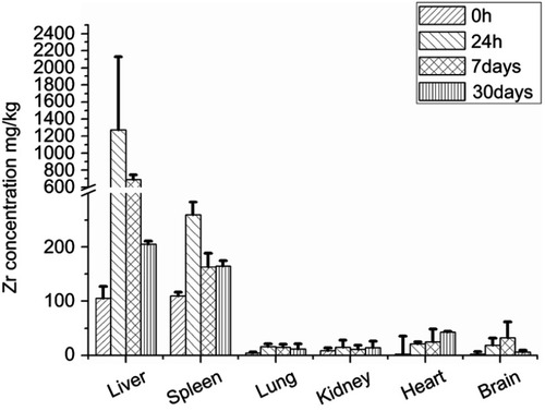 Figure 10 ICP-OES analysis result of Zr levels in liver, spleen, lung, kidney, heart and brain of animals treated with ZrO2 (n=5 per group).