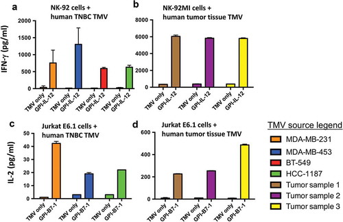 Figure 6. Human GPI-ISMs incorporated into TMVs prepared from human TNBC cell lines or breast cancer tumor tissues are able to stimulate PBMC, NK-92, and Jurkat E6.1 cells. (a) Human NK-92 cells and (b) human NK-92MI cells (2 x 105/ml) were stimulated with TMVs containing incorporated human GPI-IL-12 (40 μg/ml TMV) from various human TNBC cell lines (a) or patient-derived breast cancer tumor tissue (b) for 48 h. Supernatant was collected and IFN-γ was measured by ELISA. Human Jurkat E6.1 cells (6 x 105/ml) were stimulated with TMVs with/without GPI-B7-1 (40 μg/ml TMV) from various human TNBC cell lines (c) or patient-derived breast cancer tumor tissue (d) in combination with anti-human CD3 mAb for 24 h. Supernatant was collected and IL-2 was measured by ELISA. IL-2 levels were undetectable in Jurkat E6.1 with anti-CD3 alone. Values were average of triplicates and represented as Mean ± SD