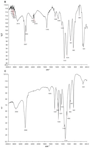 Figure 3 FT-IR spectra of blank gels (A), AC liposomes (B), AC dual-sensitive gels (C).Abbreviation: AC, arctigenin.