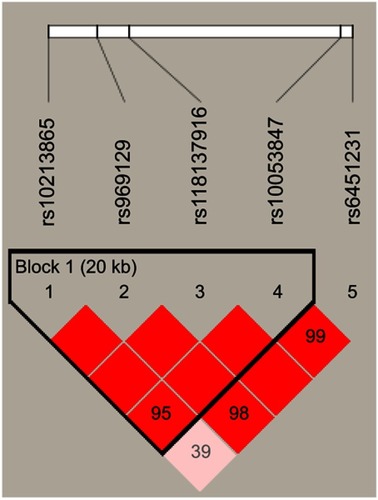 Figure 1 The haplotype block map for single-nucleotide polymorphisms in the IL-7R.
