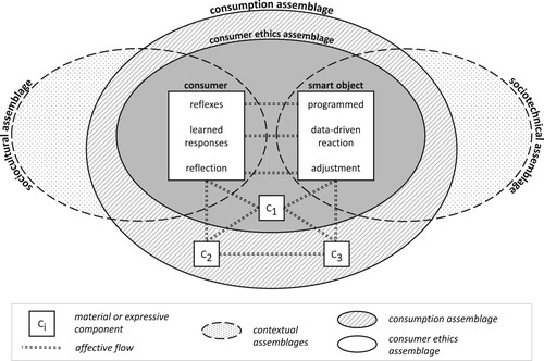 Figure 1. A conceptual framework for emergent consumer ethics.