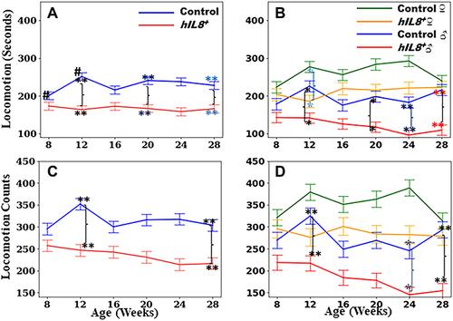 Figure 2 Time spent on locomotion and counts in locomotion. (A and B) Comparison of time spent in locomotion between hIL8+ and control mice, and hIL8+ and control mice of different sexes; (C and D) comparison of locomotion counts between the 2 mouse types, and mice of different sexes. Values: mean ± 95% confidence intervals; #: p <0.05 when comparing values within the same cohort over age; **or *: p <0.01 or p <0.05, respectively, when comparing values between different cohorts at a single age.