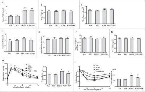 Figure 1. Effect of PGRN on glucose metabolism and insulin sensitivity, and its abrogation by PBA in vivo. All analyses compared age- and sex-matched mice fed a normal diet. Mice were distributed in 4 groups (12–15/per group): (1) vehicle (2) PGRN (i.p. 20 μg/day); (3) 4-PBA (orally, 1 g/Kg of body weight); (4) PGRN + 4-PBA. 12–15 mice per group were analyzed. (A) Effect of 3 weeks administration of rmPGRN and PBA on serum PGRN levels. (B) Body weight. (C) Blood glucose. (D) Serum insulin. (E) Serum triglyceride. (F) Energy expenditure. (G) Food intake. (H) GTT. (I) ITT. Data are means ± SD in each bar graph. *P < 0.05, **P < 0.01 (vs. vehicle). #P < 0.05 (vs. PGRN).