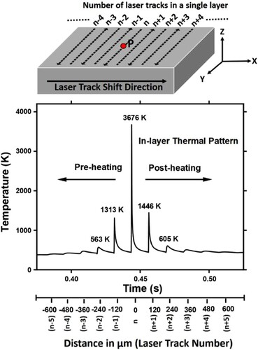 Figure 4. The computationally predicted thermal pattern of position P in a single layer. Reproduced from Pantawane et al. (Citation2020).