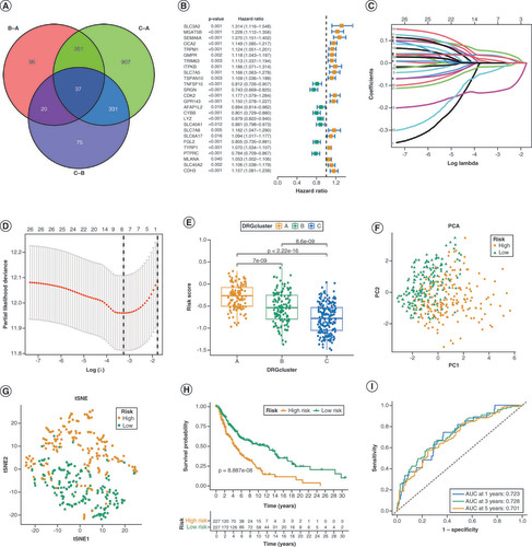 Figure 3. Development of the differentially expressed gene-related signature in the training set. (A) The Venn diagram displays the overlap of differentially expressed DRGs. (B) The Univariate Cox regression analysis of 26 genes is represented in the forest plot. (C, D) The prognostic genes were analyzed using LASSO-Cox regression and the partial likelihood deviance. (E) The distribution of patients in the three DRG clusters and two DRG-score groups. (F, G) Principal Component Analysis (PCA) and t-distributed stochastic neighbor embedding (tSNE) reveal a clear distinction in transcriptomes among the two subcategories. (H) Analysis of overall survival (OS) in TCGA cohort using Kaplan-Meier method. (I) Receiver Operating Characteristic curves for predicting overall survival at 1 year, 3 years, and 5 years.