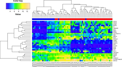 Figure 3 Heat map showing the expression pattern of 30 common DEGs in all tumor and normal samples.