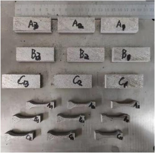 Figure 2. LPBF-fabricated samples.