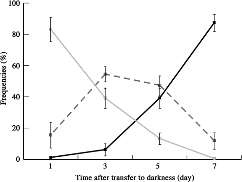 Fig. 19. Frequencies of zygotes classified into three types according to mitochondrial morphology after transferring young zygotes to darkness: zygotes with mesh-like mitochondria (grey line), zygotes with fragmented mitochondria (dashed line), and zygotes with particle-like mitochondria (black line). Mitochondrial features were determined by fluorescence microscopy. Standard deviations were calculated from three independent experiments. 311, 245, 220, 332 cells were counted at 1, 3, 5, 7 days, respectively.