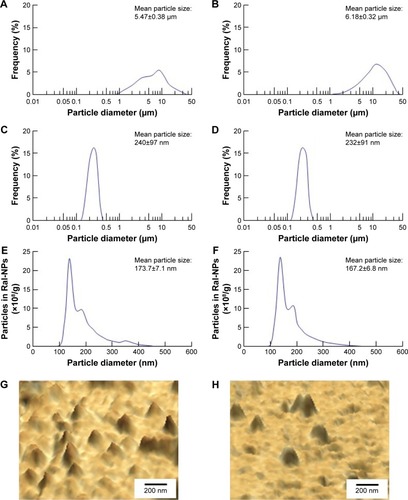Figure 1 Particle size frequencies and images of raloxifene transdermal formulations with or without menthol.Notes: Particle size frequencies of Ral-MPs (A), mRal-MPs (B), Ral-NPs (C), and mRal-NPs (D) by SALD-71000. Means ± SD and particle size frequencies of Ral-NPs (E) and mRal-NPs (F) by NANOSIGHT LM10. Means ± SE and SPM images of Ral-NPs (G) and mRal-NPs (H). The raloxifene particles remained in the nano size range following bead mill treatment. The particle size frequencies showed no difference between Ral-NPs and mRal-NPs.Abbreviations: mRal-MPs, transdermal formulation containing raloxifene microparticles and menthol; mRal-NPs, transdermal formulation containing raloxifene nanoparticles and menthol; Ral-MPs, transdermal formulation containing raloxifene microparticles; Ral-NPs, transdermal formulation containing raloxifene nanoparticles; SE, standard error of the mean.