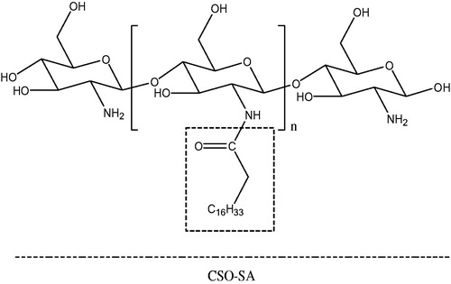 Figure 4. Structural composition representation of CSO-SA: stearic acid (SA) grafted chitosan oligosaccharide (CSO).