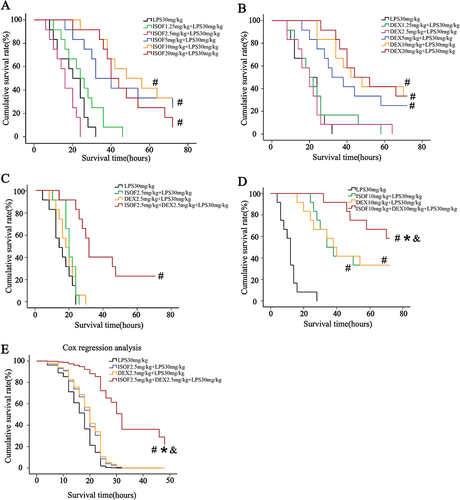 Figure 1 Cumulative survival rate of ISOF, DEX and ISOF combined with DEX on LPS-induced sepsis in mice. (A) Effect of different concentrations of ISOF on the cumulative survival rate. (B) Effect of different concentrations of DEX on the cumulative survival rate. (C) Effect of combined ISOF and DEX single ineffective dose on the cumulative survival rate. (D) Effect of combined ISOF, DEX single effective dose on cumulative survival rate. (E) Cox regression analysis of the effect of ISOF combined with DEX on the cumulative survival rate of mice with LPS-induced sepsis. Compared with LPS groups, #P<0.05; compared with DEX group, *P<0.05; compared with ISOF group, &P<0.05 (n=12). Kaplan-Meier test and Log rank test were used to compare survival curves. Cox proportional hazards regression model was used to analyze the effect of the combined use of ISOF and DEX on survival curves.