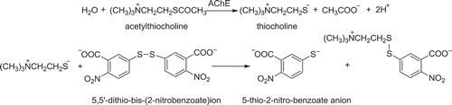 Figure 1. Reactions about determination of inhibition ratio to acetylcholine.Figura 1. Reacciones de la determinación de la proporción inhibitoria de la acetilcolina.