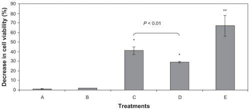 Figure 6 Decrease in the B16F10 viability induced by different experimental conditions measured by MTT assay. Cells were treated with A) L-tyrosine-loaded PCL NPs, B) unloaded NPs, C) 6 min of AF, D) unloaded NPs plus AF, and E) L-tyrosine-loaded PCL NPs plus AF. The percentage of viability decrease was determined immediately (data not shown) and 24 h after treatment. The major cell viability decrease (around 60%) was obtained when the L-tyrosine-loaded PCL NPs were associated with AF. Results of three independent experiments expressed as mean ± SD are shown.Notes: *Significantly different from control with P < 0.05.