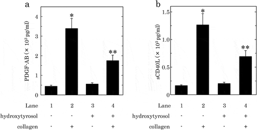 Figure 3. Effects of hydroxytyrosol (HT) on the collagen-induced secretion of PDGF-AB (a) or the release of sCD40L (b) from human platelets.PRP was pretreated with 100 μM of HT or vehicle at 37°C for 15 min, and then stimulated by collagen or vehicle for 15 min. The reaction was terminated by addition of an ice-cold EDTA solution. The mixture was centrifuged at 10,000 × g at 4°C for 2 min, and the supernatant was then subjected to ELISA for PDGF-AB (a) and sCD40L (b). The results obtained from six (a) or seven (b) healthy donors are shown. Each value represents the mean ± SEM. *p < 0.05, compared to the value of control. **p < 0.05, compared to the value of collagen alone.