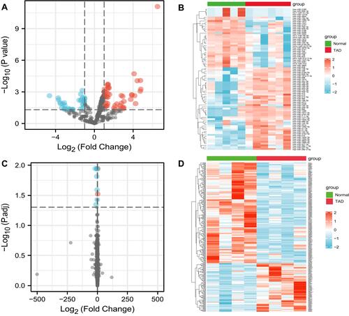 Figure 2 Differently expressed miRNAs and lncRNAs in TAD. (A) The volcano graph shows the distribution of differently expressed miRNAs. (B) The heatmap of the miRNAs expression in TAD. (C) The volcano graph shows the distribution of differently expressed lncRNAs. (D) The heatmap of the lncRNAs expression in TAD. In the volcano graph, the X-axis represents the fold changes of differently expressed miRNAs and lncRNAs, and the Y-axis represents the p-value, red dots present up-regulated genes and blue dots present down-regulated genes (|log2foldChange| >1.0 and P value <0.05).