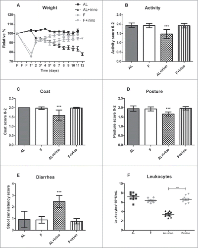 Figure 1. Protective effects of fasting against side-effects of irinotecan in Apc-mutant mice. Side-effects were monitored from the start of the fasting regimen until 11 days after the first irinotecan injection (*). Graphs represent a total of 36 mice: 1. Ad libitum group (n = 9; males (m) n = 4, females (f) n = 5), 2. Fasted group (n = 9; m, n = 4, f, n = 5), 3. Ad libitum group treated with irinotecan (n = 10; m, n = 5, f, n = 5), and 4. Fasted group treated with irinotecan (n = 8; m, n = 4, f, n = 4). (A) Effects of fasting and irinotecan treatment on body weight. Fasted (F) mice lost weight during the fasting regimen, but gained weight during irinotecan treatment. In contrast, ad libitum (AL) fed animals lost weight during irinotecan administration. (B–E) Effects of fasting and irinotecan treatment on activity, coat, posture, and stool. ***Indicates significant difference (P < 0.001) between ad libitum fed animals treated with irinotecan compared to each of the other groups. (F) Effect of fasting and irinotecan treatment on bone marrow toxicity. Number of leukocytes on day 8 after the first irinotecan injection was significantly lower in ad libitum fed animals compared to fasted animals in the irinotecan treated groups. ***P < 0.001.