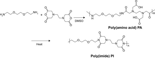 Figure 1 Synthesis of hydrophilic polyimide through the polycondensation of EOEM and EDTA dianhydride.Abbreviations: DMSO, dimethyl sulfoxide; EDTA, ethylenediaminetetraacetic dianhydride; EOEM, 2,2′-(ethylenedioxy)bis(ethylamine); PA, poly(amic acid); PI, poly(imide).