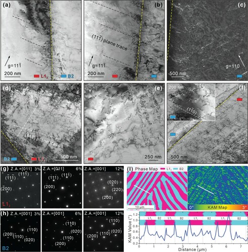 Figure 3. Typical TEM images showing deformation microstructures of the as-investigated Al19Co20Fe20Ni41 EHEA under different strain conditions: (a) ∼3%, (b, c) ∼6% and (d, e) ∼12% at 77 K; (f) ∼16% at 298 K. g indicates the direction of the diffraction vector. All phase interfaces are marked by yellow dotted lines. (g and h) The corresponding SAEDs of L12 and B2 phase, respectively, at ∼3%, ∼6% and ∼12%. (I) EBSD phase map, KAM map, and the corresponding curve of KAM values from these locations marked by white line in the KAM map.