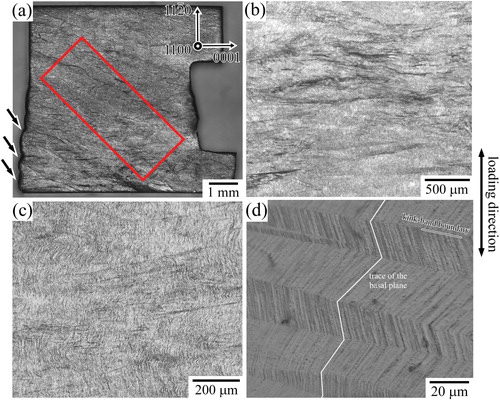 Figure 1. LM image of the deformed Mg99.2Zn0.2Y0.6 single crystalline specimen after the first compression test along [112¯0]. (b,c) Middle-magnification, and (d) higher-magnification images of the deformation microstructure. The observation direction is parallel to [11¯00].