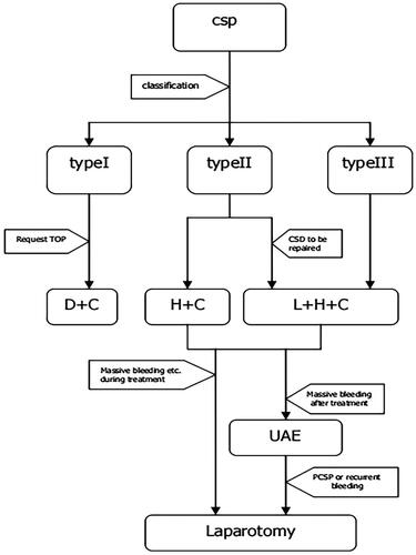 Figure 2. Suggested management strategy of CSP.