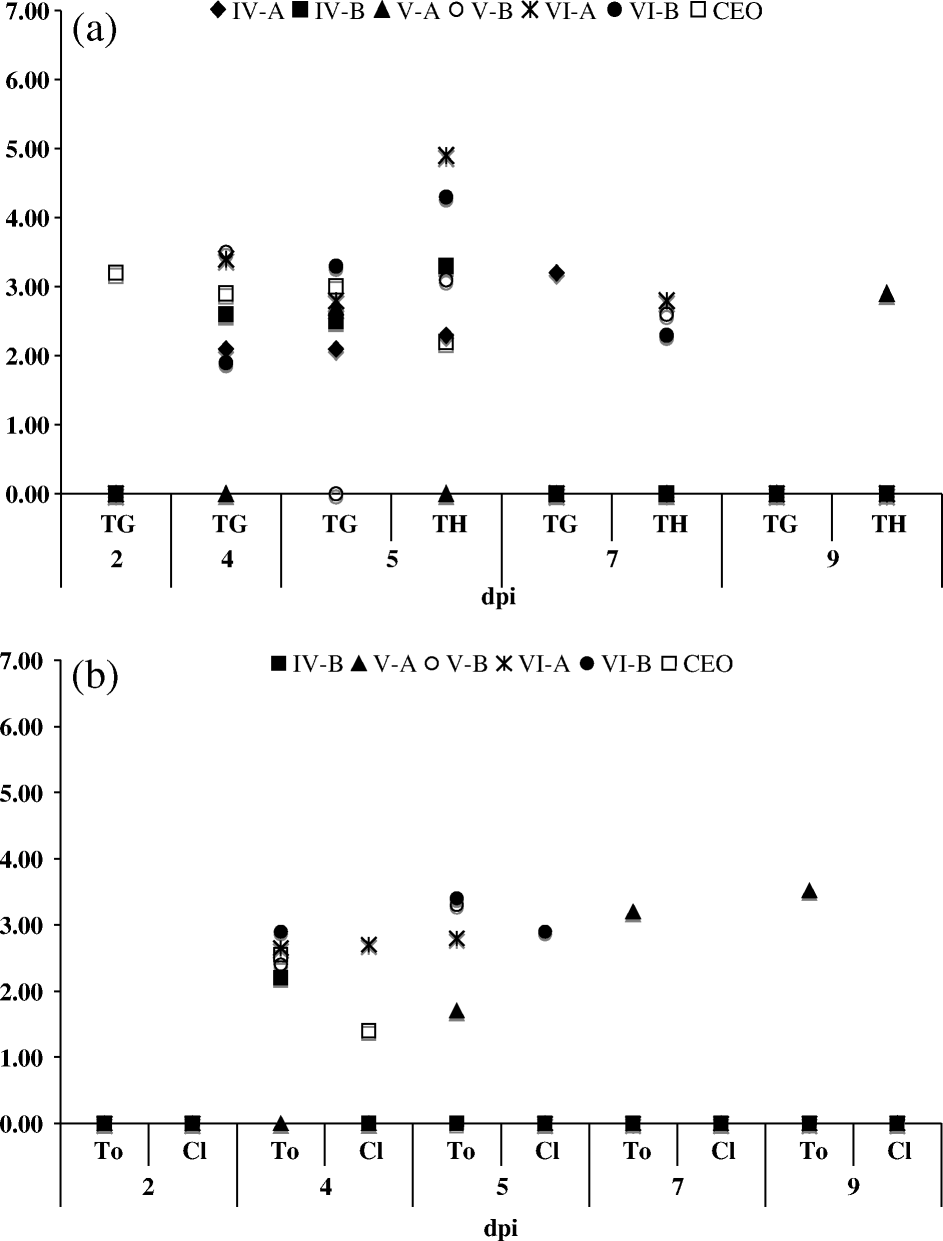 Figure 3.  Average GCN log10 value detected per sample by ReTi-PCR (quantitative PCR). (3a) Trigeminal ganglia (TG) thymus (TH) and (3b) caecal tonsils (To) and cloaca (Cl) of chickens inoculated with isolates IV-A, IV-B, V-A, V-B, VI-A and VI-B and CEO vaccine.