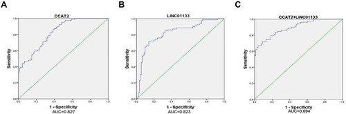 Figure 4 ROC curve analysis for the detection of CIN using lncRNA. (A) CCAT2, (B) LINC01133, (C) Panel (CCAT2+LINC01133).