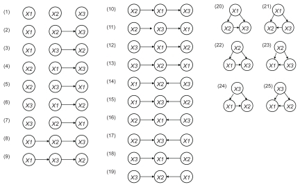 Figure 2 Estimated binary relations among 3 genes. When we consider permutations of three nodes X1, X2 and X3, the total number of the possible network structures is 25.