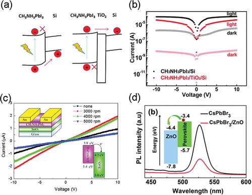 Figure 7. (a) Band diagrams of the CH3NH3PbI3/Si and CH3NH3PbI3/TiO2/Si samples. (b) The dark current and light current as a function of applied voltage: the CH3NH3PbI3/Si and CH3NH3PbI3/TiO2/Si photodetectors [Citation93]. Copyright from 2018 Mater. Chem. Front. (c) I–V curves of the photodetectors with different SnO2 layer under illumination. Inset: device structure of the photodetectors (upper) and work mechanism of the heterojunction photodetectors (lower) [Citation94]. Copyright from 2018 Organic Electronics. (d) PL spectra of the CsPbBr3 and CsPbBr3/ZnO films. The inset schematically represented the charge transfer at the CsPbBr3/ZnO interface under light illumination. The band profiles and working mechanisms of (d) the CsPbBr3/ZnO heterostructure photodetector were also shown [Citation96]. Copyright from 2017 J. Mater. Chem. C.